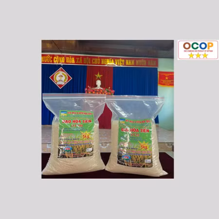 Gạo Hòa Tiến