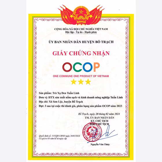 Trà xạ đen Tuấn Linh 