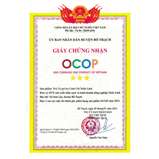 Trà cà gai leo linh chi Tuấn Linh