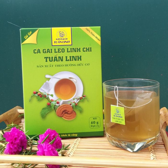 Trà cà gai leo linh chi Tuấn Linh