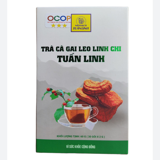 Trà cà gai leo linh chi Tuấn Linh