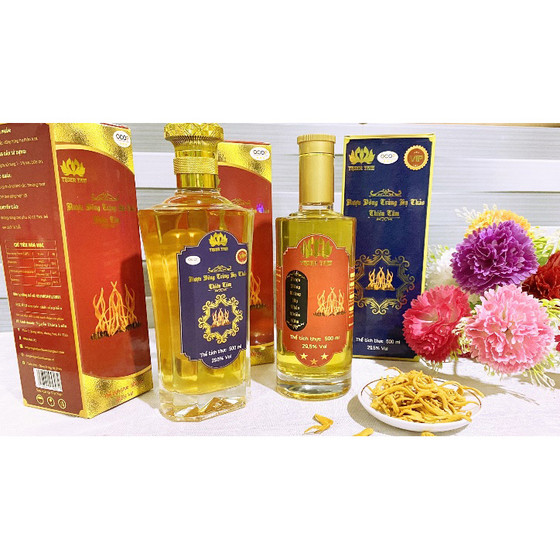 Rượu đông trùng hạ thảo Thiên Tâm