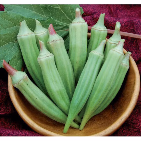 Đậu bắp Túy Loan