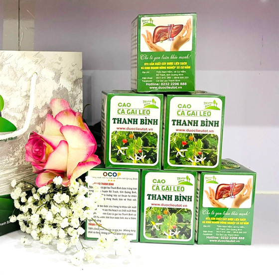 Cao cà gai leo Thanh Bình