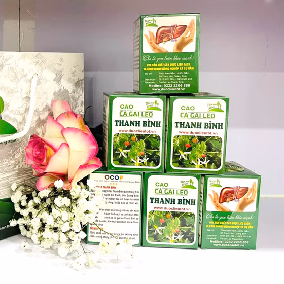 Cao cà gai leo Thanh Bình