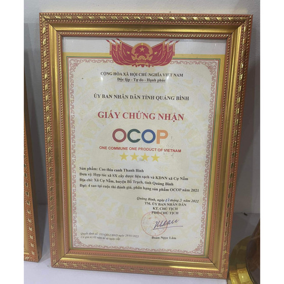 Cao thìa canh Thanh Bình