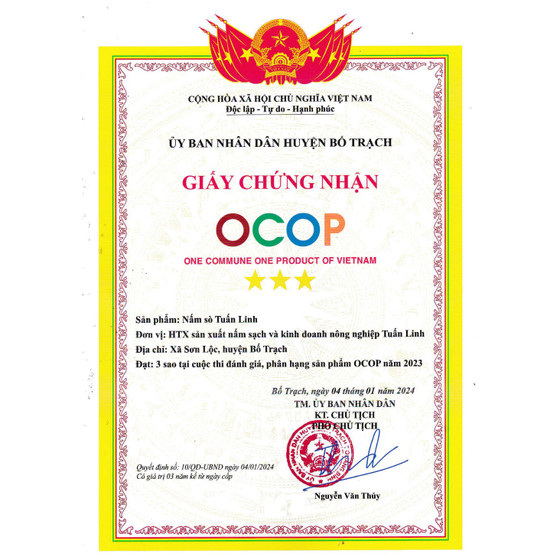 Nấm sò tươi Tuấn Linh