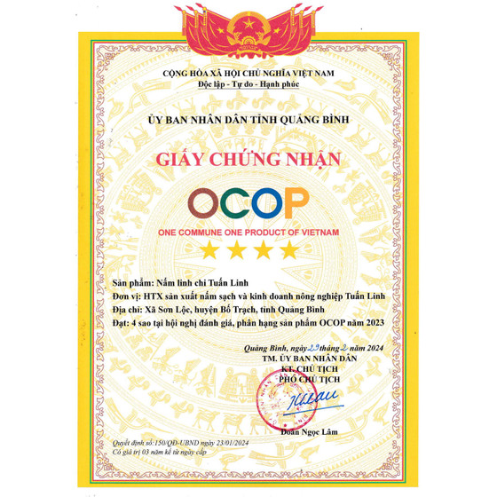 Bột nấm linh chi Tuấn Linh