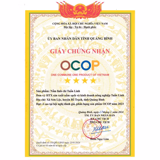 Nấm linh chi Tuấn Linh
