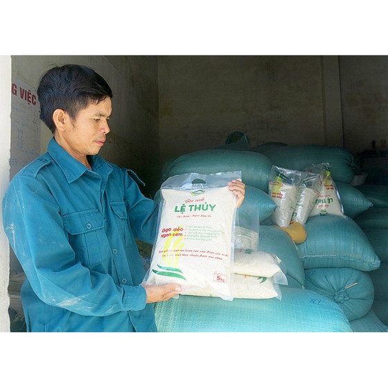 Gạo sạch Lệ Thủy