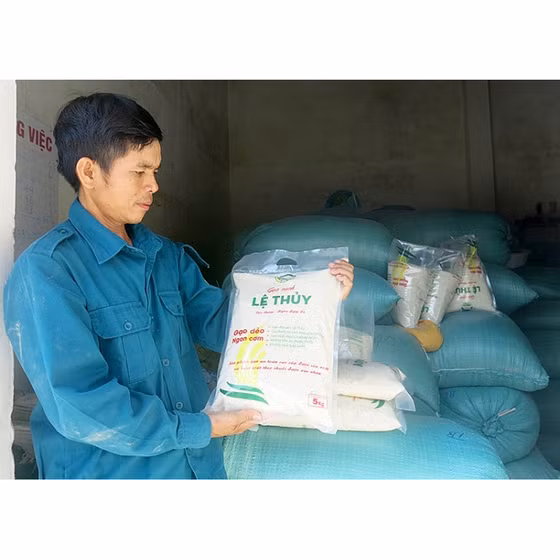 Gạo sạch Lệ Thủy