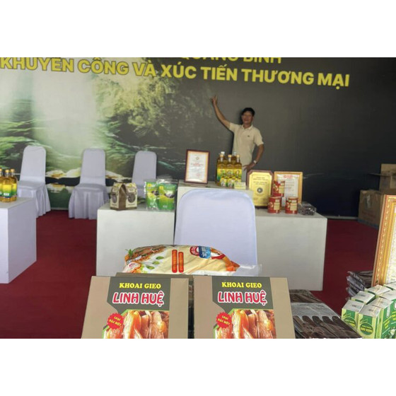 Khoai gieo Hải Ninh Linh Huệ