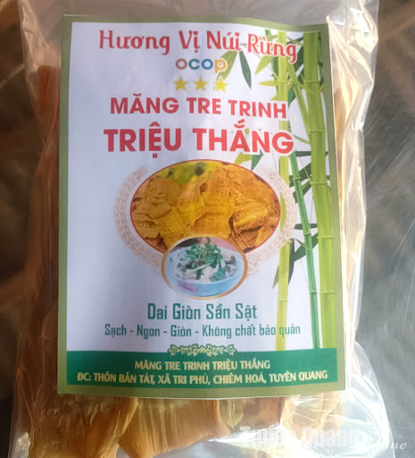 Măng tre trinh Triệu Thắng