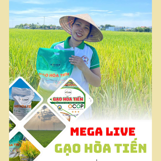 Gạo Hòa Tiến