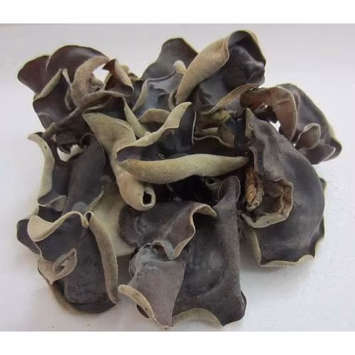 Nấm mộc nhĩ thái sợi Tuấn Linh (100g)