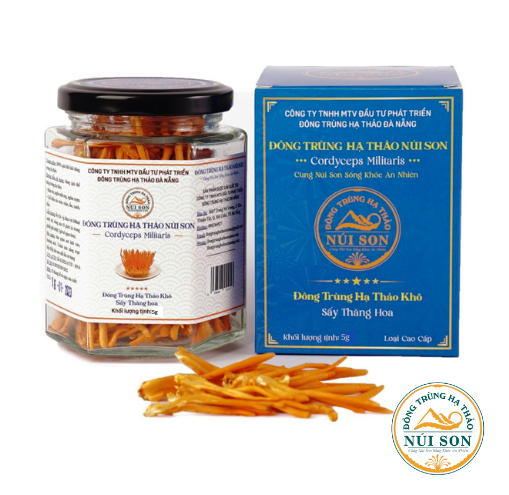 Đông trùng hạ thảo sấy thăng hoa Núi Son