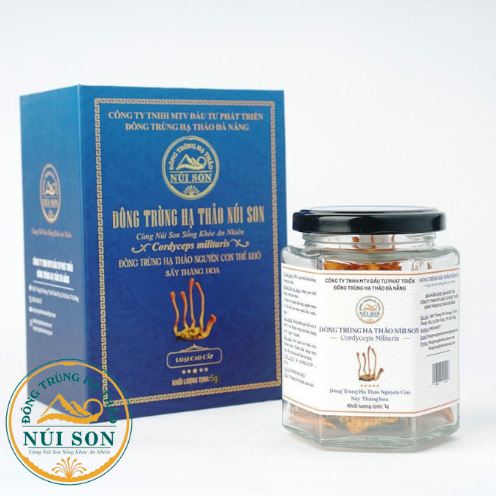 Đông trùng hạ thảo sấy thăng hoa Núi Son