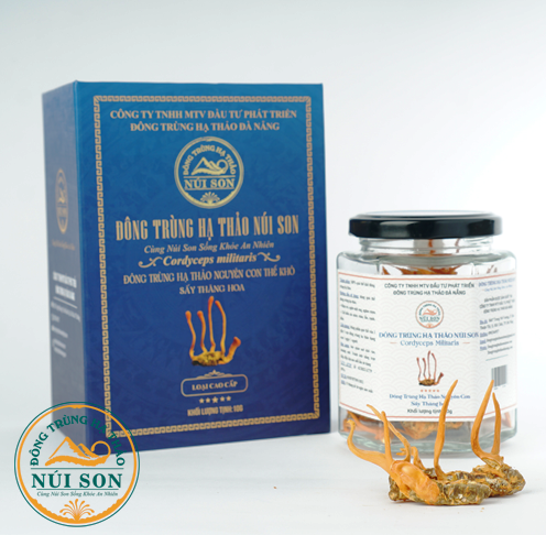 Đông trùng hạ thảo sấy thăng hoa Núi Son