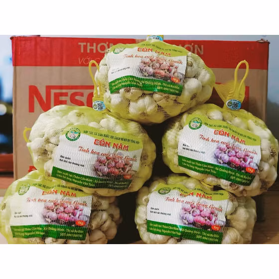 Tỏi sạch Quảng Minh