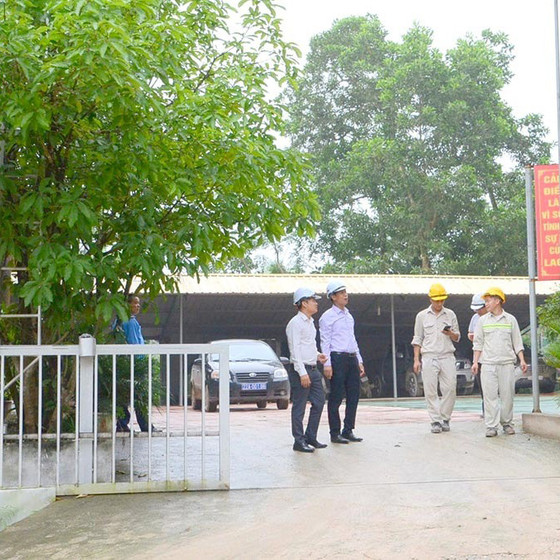 Chè xanh Thái Sơn