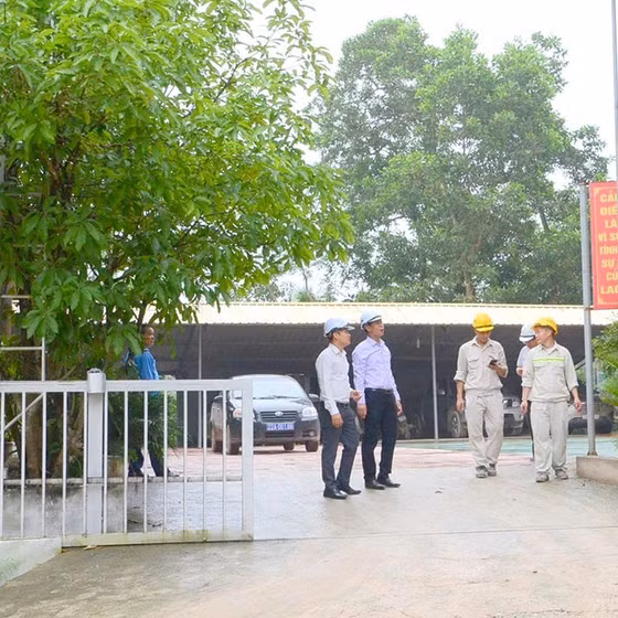 Chè xanh Thái Sơn