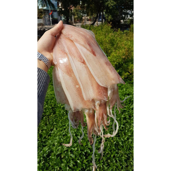 Mực 3 nắng Hạng Huệ