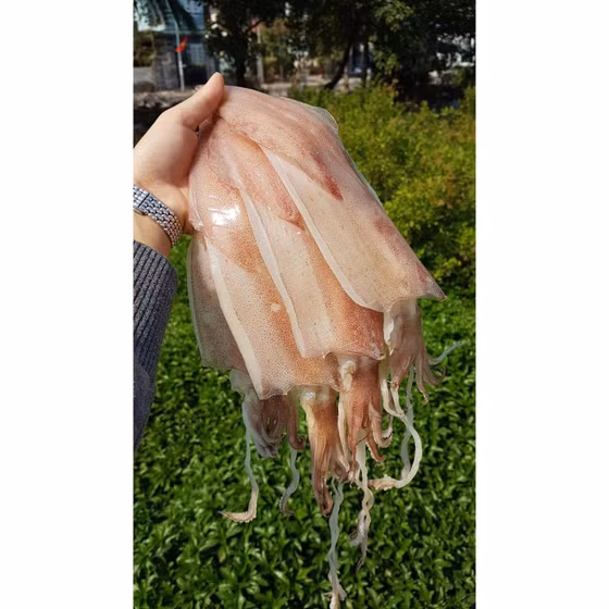 Mực 3 nắng Hạng Huệ