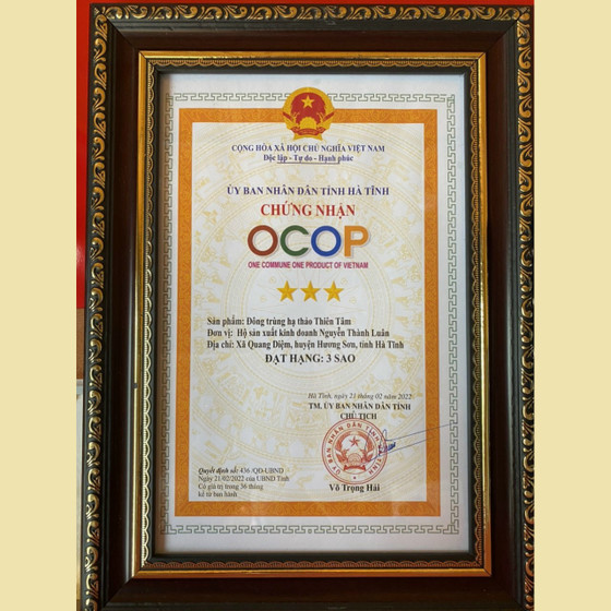 Rượu đông trùng hạ thảo Thiên Tâm