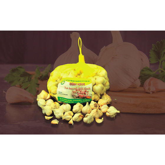 Tỏi sạch Quảng Minh