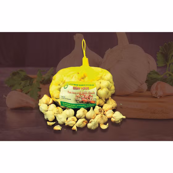 Tỏi sạch Quảng Minh