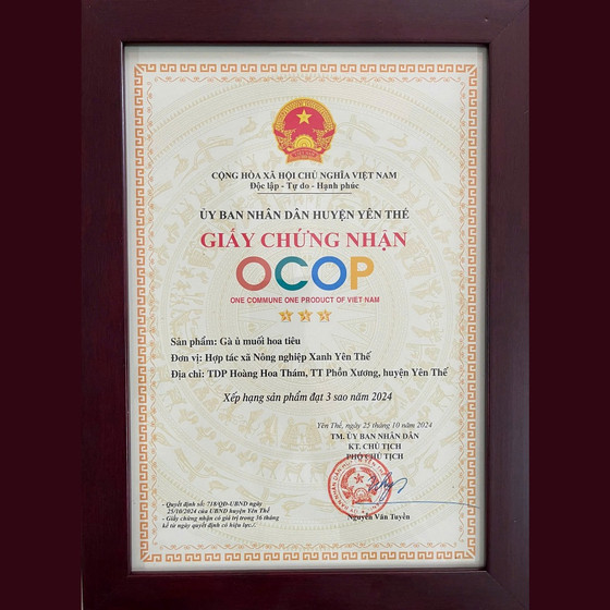 Gà ủ muối hoa tiêu Yên Thế