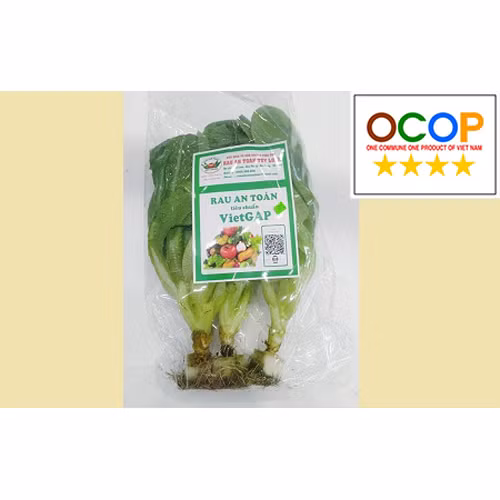 Rau xà lách Túy Loan