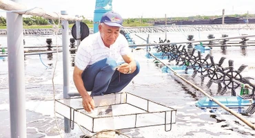 Ông Lê Văn Sấm bên ao nuôi tôm ứng dụng công nghệ cao