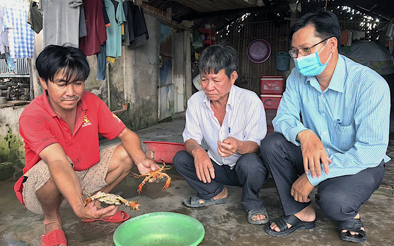 Cua nuôi của nhiều hộ dân xã Hiệp Tùng (huyện Năm Căn, tỉnh Cà Mau) bị chết bất thường. Khắc phục tình trạng cua chết bất thường ở Cà Mau -0