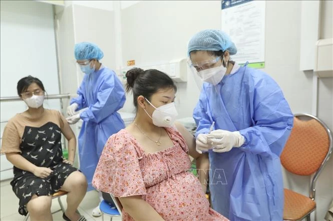 (Ảnh minh họa: TTXVN)