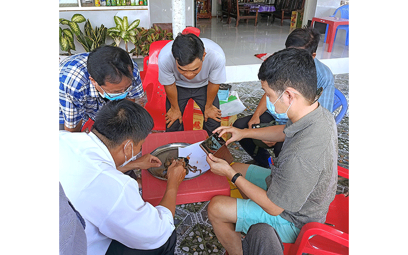 Ngành chức năng tỉnh Cà Mau thu mẫu, giải phẫu tìm nguyên nhân cua chết bất thường.