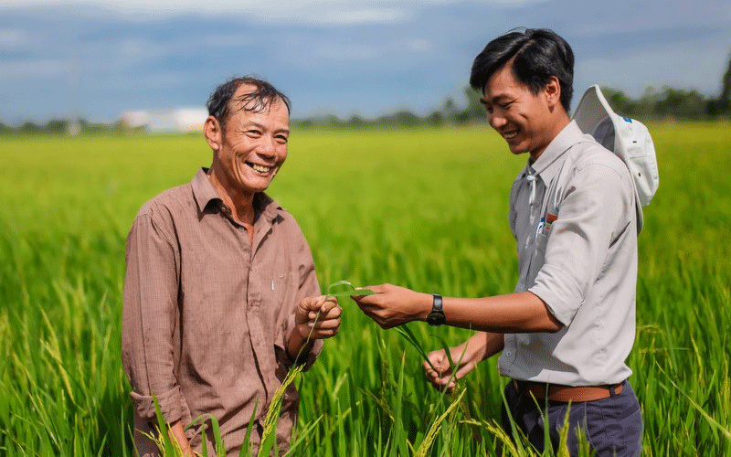 Kỹ sư Tập đoàn Lộc Trời hướng dẫn nông dân canh tác trên cánh đồng thực hiện liên kết bao tiêu sản phẩm. Bình ổn giá vật tư phục vụ sản xuất nông nghiệp -0