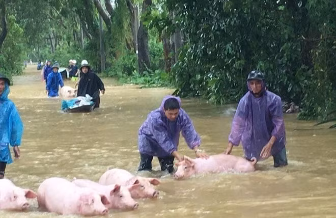 Sau mưa lũ nguy cơ các loại dịch bệnh bùng phát. 