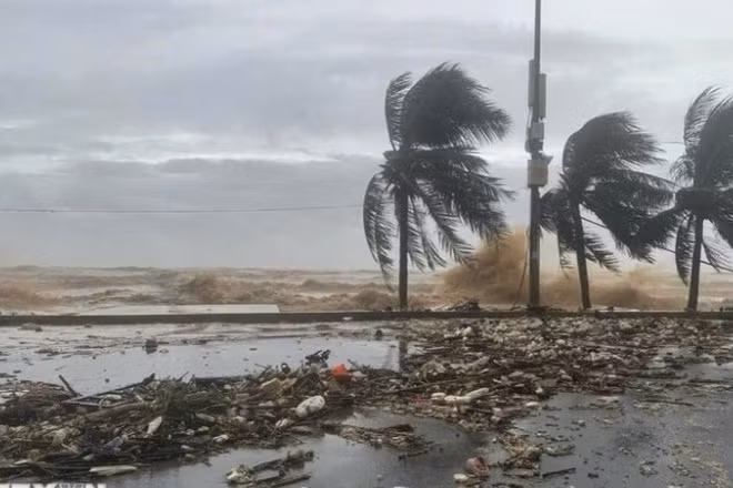 Bộ Nông nghiệp và Môi trường đề nghị Ủy ban nhân dân các địa phương khẩn trương huy động lực lượng, phương tiện để kêu gọi, hướng dẫn hoặc áp dụng biện pháp cần thiết đưa tàu thuyền vào nơi neo đậu an toàn. (Ảnh minh họa: TTXVN)
