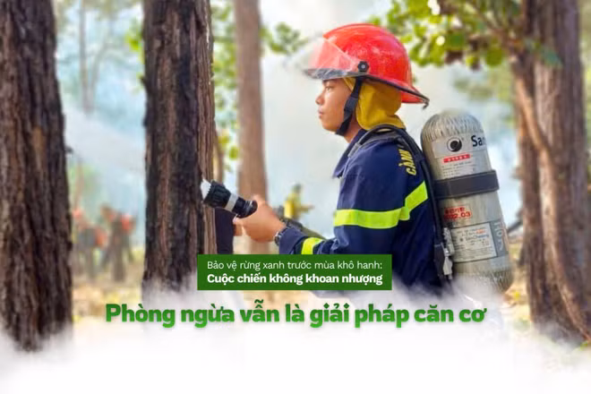 Mùa khô 2025-2026 đang đặt ra những thách thức chưa từng có đối với “lá phổi xanh” của đất nước.