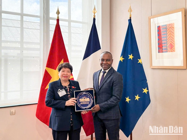 Ông Thani Mohamed Soilihi đánh giá cao những bước phát triển tốt đẹp giữa Pháp-Việt Nam trong thời gian qua. nghi-si-huu-nghi-viet-phap-duy-14.jpg