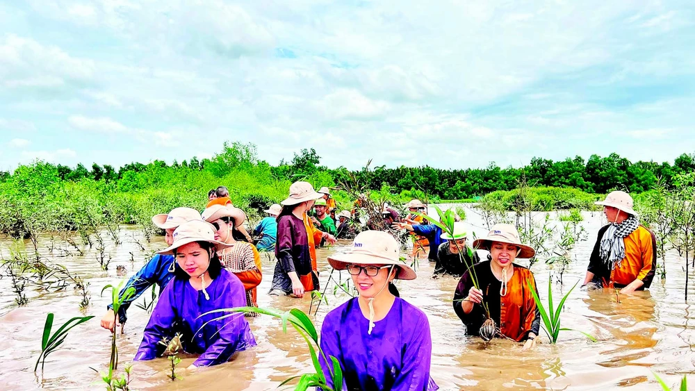 Người dân đầu tư, phát triển du lịch sinh thái bên cù lao Lá (ấp Tân Quý, xã Mỹ Chánh Hòa, tỉnh Vĩnh Long).