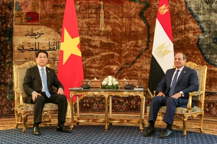 Chủ tịch nước Lương Cường và Tổng thống Ai Cập tại hội đàm. (Ảnh: XUÂN KỲ)