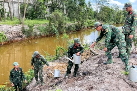 Hằng năm đơn vị còn trồng, chăm sóc hàng ngàn cây xanh các loại.