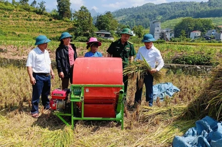 Cán bộ biên phòng tăng cường cùng lãnh đạo xã Bạch Đích, Yên Minh, Hà Giang kiểm tra đánh giá sản lượng năng suất lúa vụ mùa.