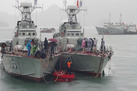 Các tàu tại Vùng 1 tổ chức chằng buộc dây tàu vào phao.