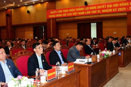 Các đại biểu tham dự hội nghị.