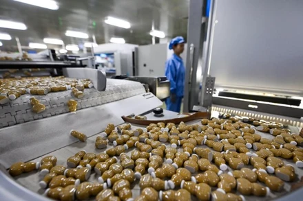 Dây chuyền sản xuất thuốc của một nhà máy ở thành phố Thiên Tân, Trung Quốc. (Ảnh: Tân Hoa xã)