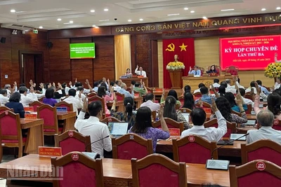 Các đại biểu biểu quyết thông qua các nghị quyết.