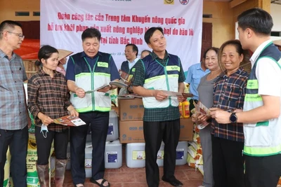 Các cán bộ khuyến nông tư vấn, hướng dẫn kỹ thuật và hỗ trợ người dân khôi phục sản xuất nông nghiệp sau mưa lũ.